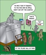 FB_IMG_1649187030638.jpg
