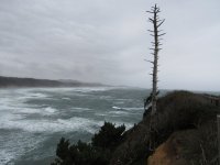 IMG_1550.JPG