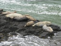 IMG_1559.JPG