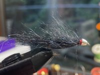 ED610BD7-79EB-4192-A156-A43217859E59.jpeg