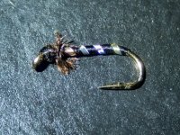 A07SmallChironomid4090017.jpg