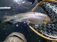A08Rainbow3bP3290027.jpg