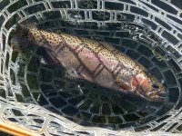 A09Rainbow5aP3290033.jpg