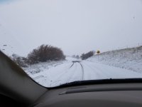 20220410_081838.jpg