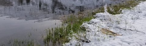 20220410_snowday.jpg