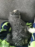 C5C06238-3A08-4E04-B33B-7E421BABF09C.jpeg