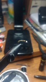 IMG_20220410_151702728.jpg