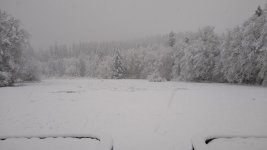 IMG_20220411_073936662.jpg