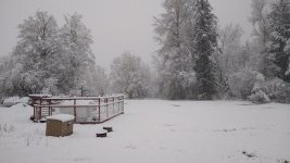 IMG_20220411_073948658.jpg