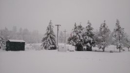 IMG_20220411_074411797.jpg