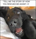 1649714789669.png