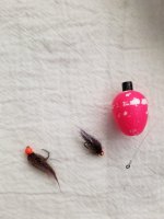 20220411_151935.jpg 20220411_151935.jpg