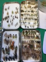 BWO above; Caddis below.jpeg