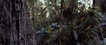1649867736110.gif 1649867736110.gif