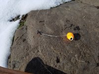 20220413_095121.jpg 20220413_095121.jpg
