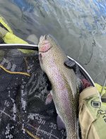 D0087DC1-55F6-40B0-B7D1-57EB070BB882.jpeg