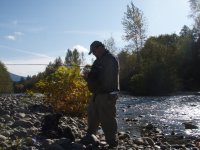 10-25-2008 1-21-40 PM_0004.JPG