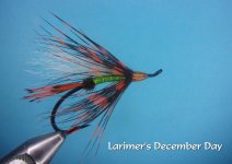 Larimer's December Day.jpg