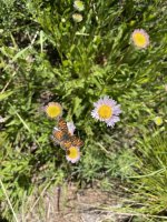 IMG_4758.jpeg