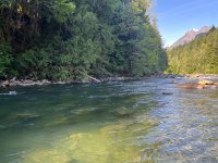 IMG_4293.jpeg