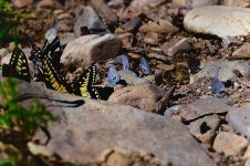 DSC_2248.jpeg
