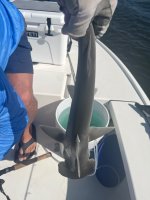 IMG_5290.jpeg