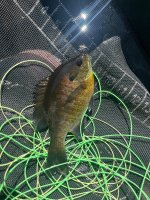 IMG_5754.jpeg
