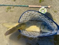 IMG_1063.jpeg