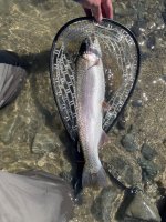 IMG_1051.jpeg