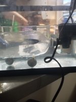 20250706_213444.jpg 20250706_213444.jpg