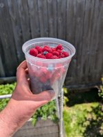 PXL_20250708_193642040.jpg