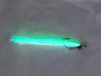 IMG_3030.jpeg