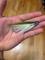 IMG_1074.jpeg