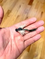 IMG_1073.jpeg