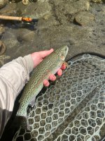 IMG_2288.jpeg