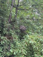 IMG_9253.jpeg