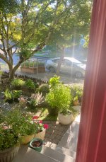 IMG_7556.jpeg IMG_7556.jpeg