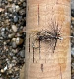 IMG_1673.jpeg