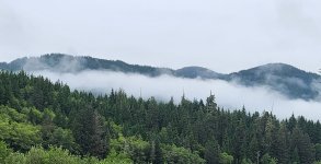 20250710_081259.jpg