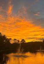 IMG_5597.jpeg
