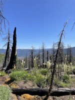 IMG_4759.jpeg