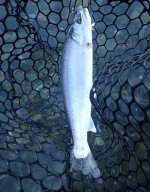 IMG_3067.jpeg
