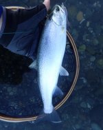 IMG_3072.jpeg