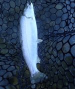 IMG_3074.jpeg