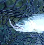 IMG_3075.jpeg