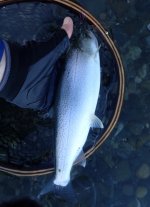 IMG_3076.jpeg