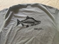 IMG_7767.jpeg