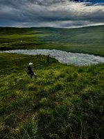 IMG_8531.jpeg