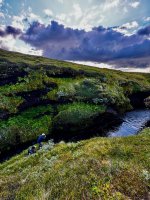 IMG_8495.jpeg