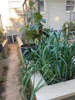 IMG_7567.jpeg IMG_7567.jpeg